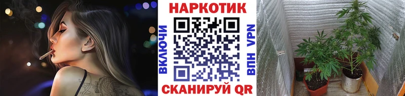 Купить наркотики Избербаш Гашиш СК Мефедрон Конопля