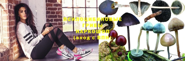 не бодяженный Абаза