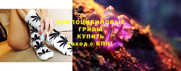 мяу мяу мука Алексеевка